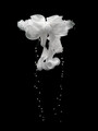 Beautiful-white-garland-with-flowers-back.jpg